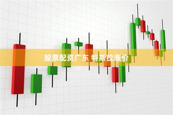 股票配资广东 特斯拉涨价