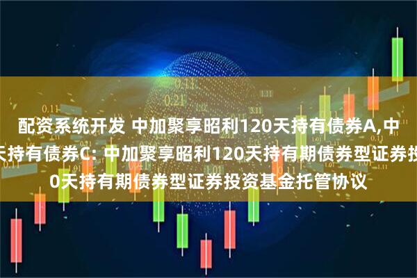 配资系统开发 中加聚享昭利120天持有债券A,中加聚享昭利120天持有债券C: 中加聚享昭利120天持有期债券型证券投资基金托管协议